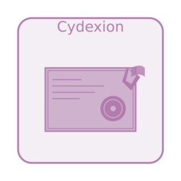 cydexion.com favicon
